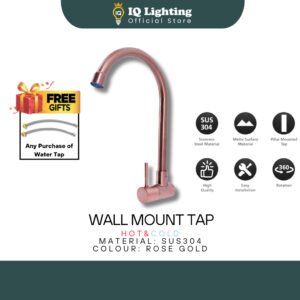 Stainless Steel Wall Mount Tap S55502R